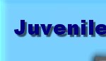 Juvenile Justice Training Academy